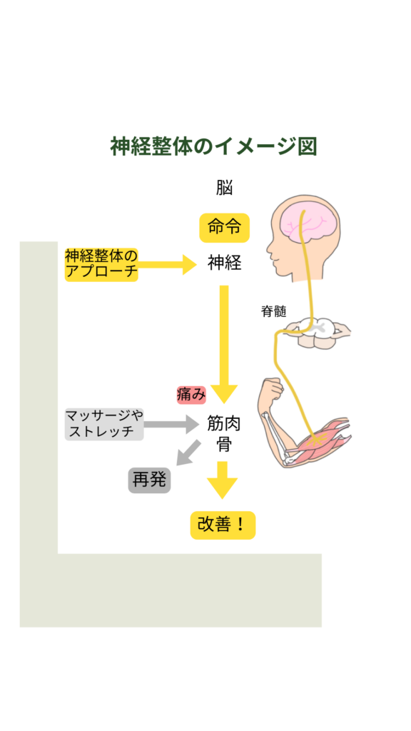 さとう神経整体の神経整体イメージ図